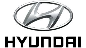 Hyundai Pumps