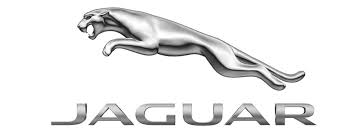Jaguar Pump