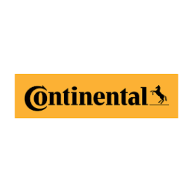 Siemens Continental Injectors