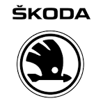 Skoda Pumps