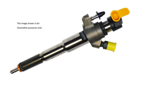 166000372R Continental Einspritzdüse (NEU)